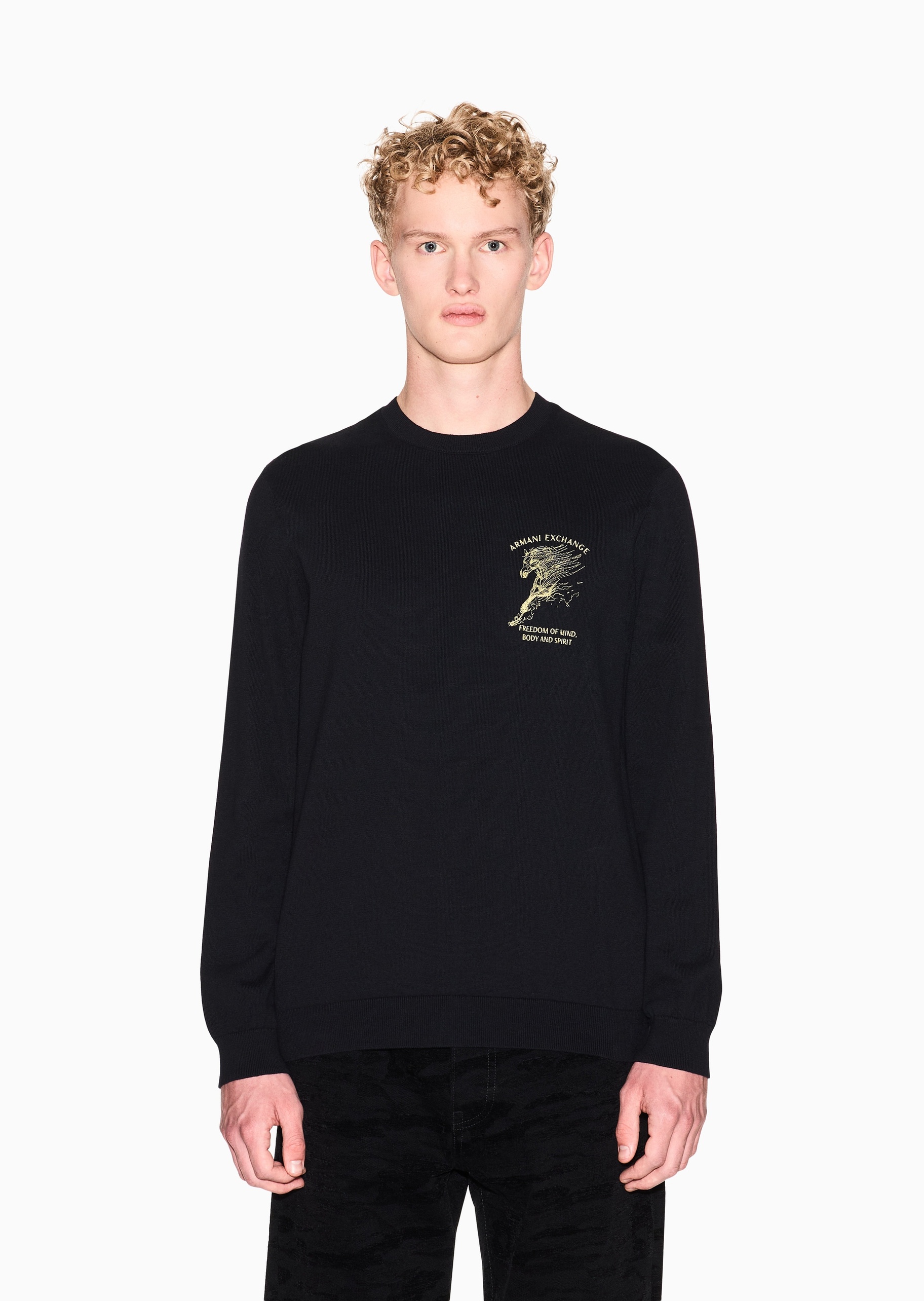 ARMANI EXCHANGE 马年限定男士纯棉长袖圆领刺绣针织衫