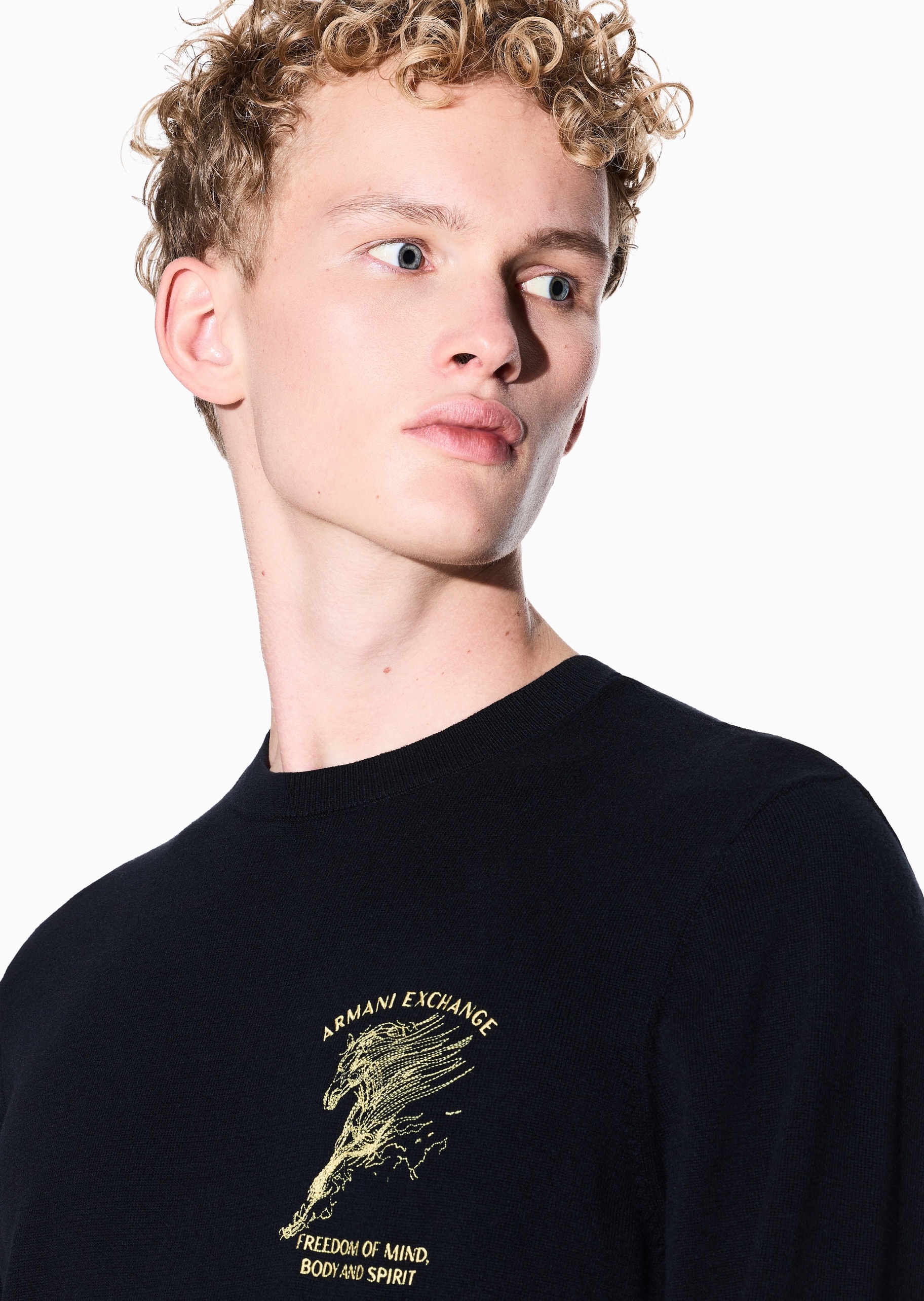 ARMANI EXCHANGE 马年限定男士纯棉长袖圆领刺绣针织衫