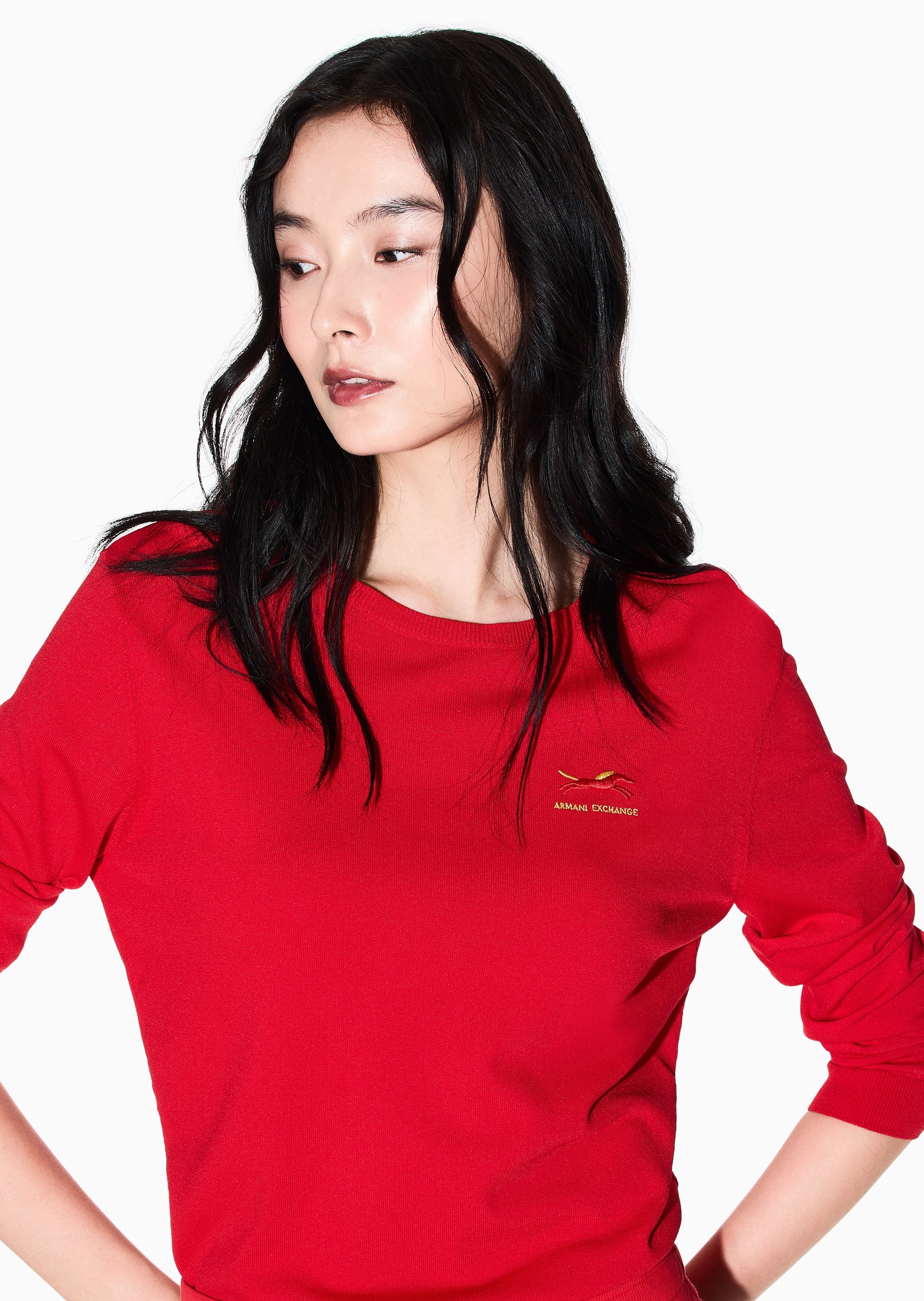 ARMANI EXCHANGE 马年限定女士长袖圆领刺绣休闲针织衫