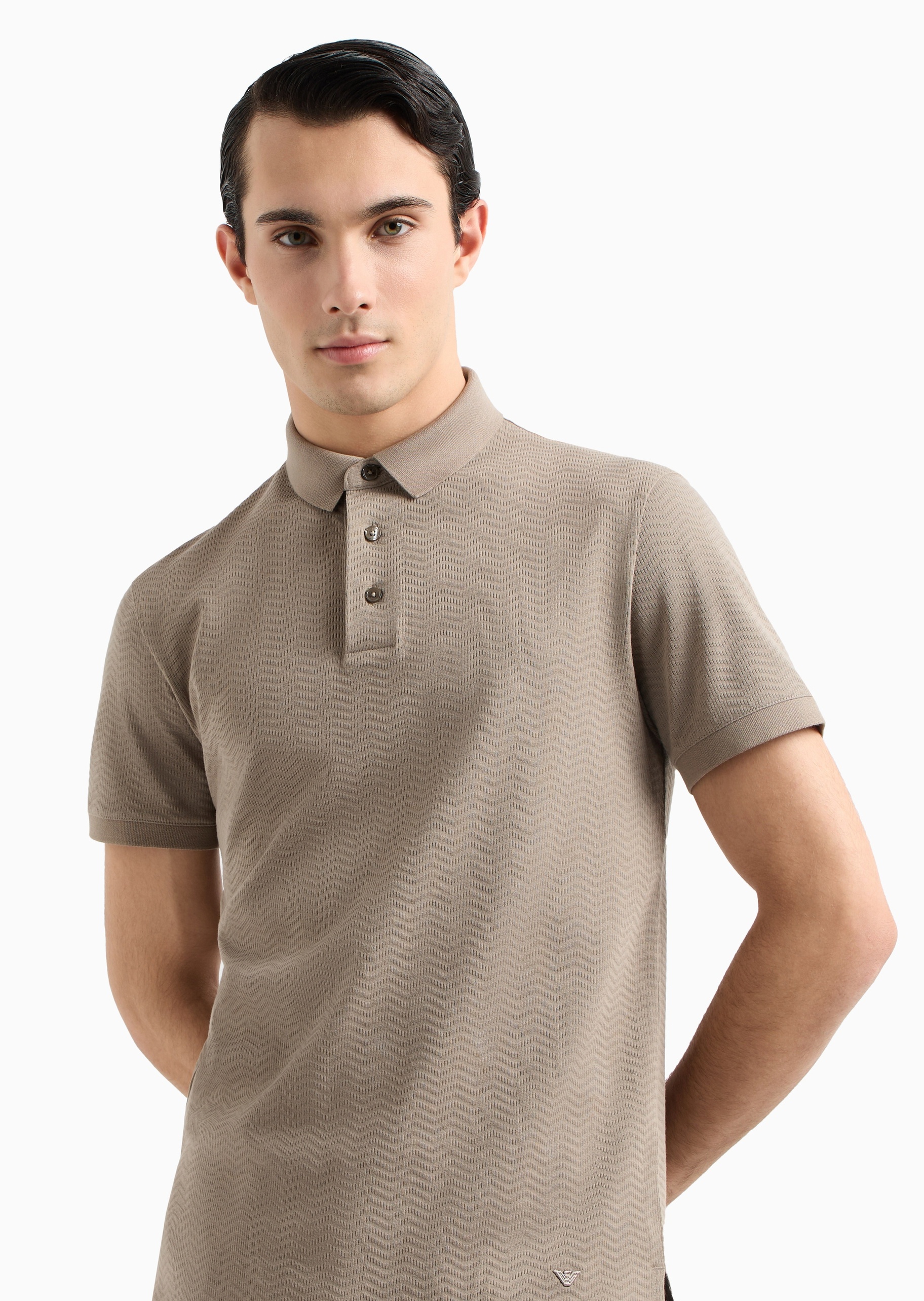 Emporio Armani 男士全棉合身翻领通体提花多色Polo衫