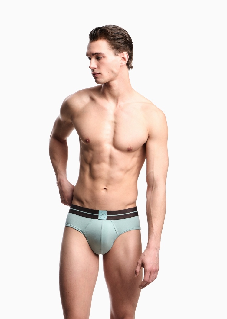 Emporio Armani 男士纯棉弹力三角两条装内裤套装