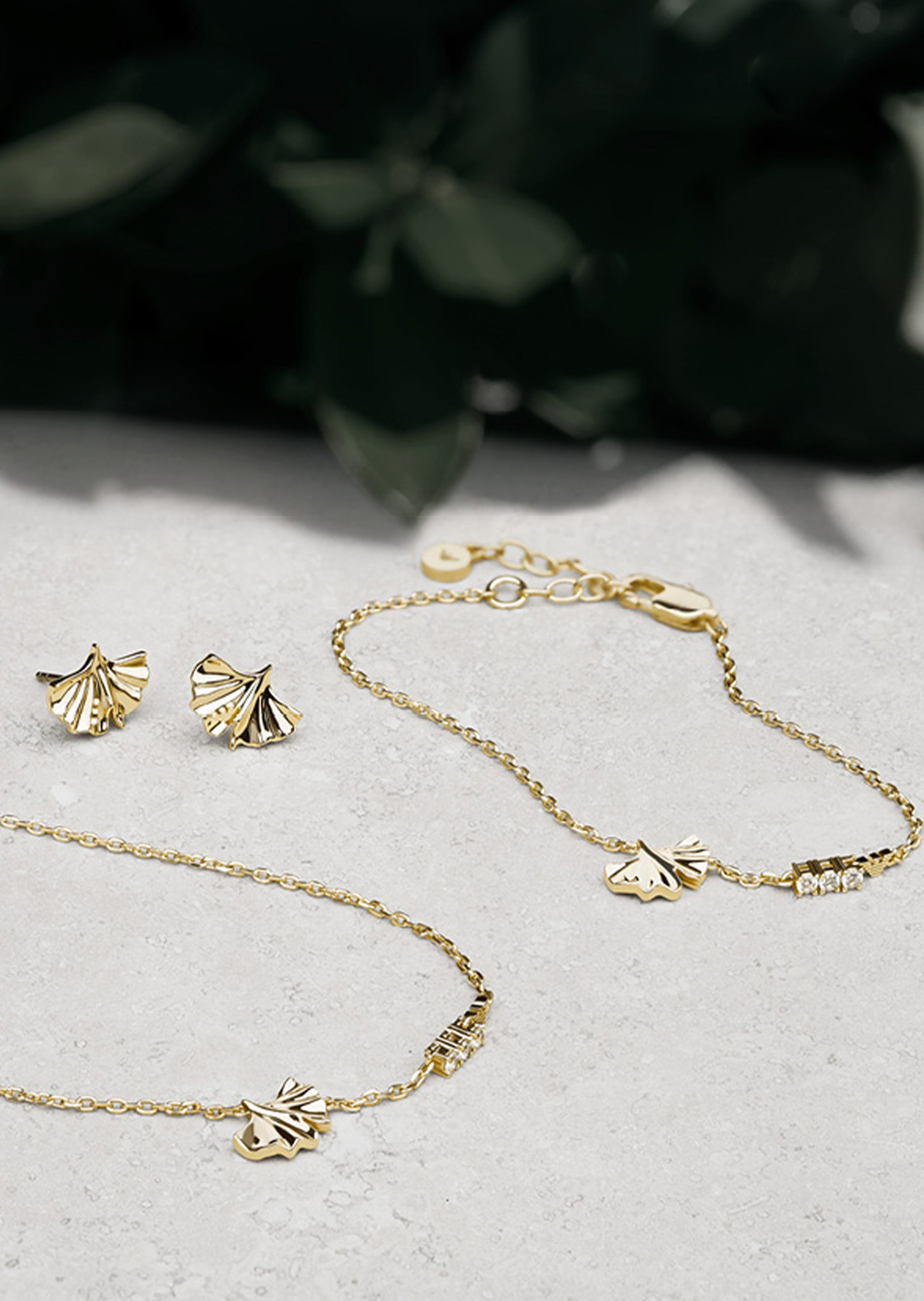 kyo3　【美品】　守本正純　「一華開五葉」　掛軸 kyo3 【美品】 守本正純 「一華開五葉」 掛軸 kyo3 【美品】 守本